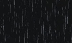 Placeholder Picture